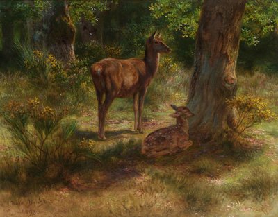 Deer and Fawn in a Wood by Rosa Bonheur